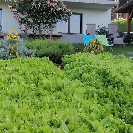 Apartma Na Ravnicah Cerkno Exteriér fotografie