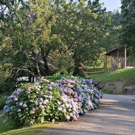 Apartma Na Ravnicah Cerkno Exteriér fotografie