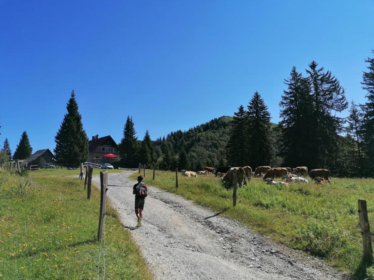 Apartma Na Ravnicah Cerkno Exteriér fotografie