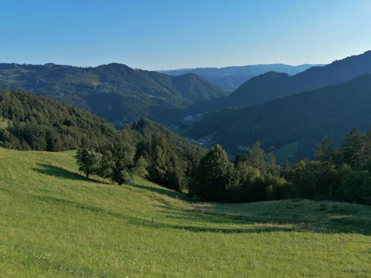 Apartma Na Ravnicah Cerkno Exteriér fotografie