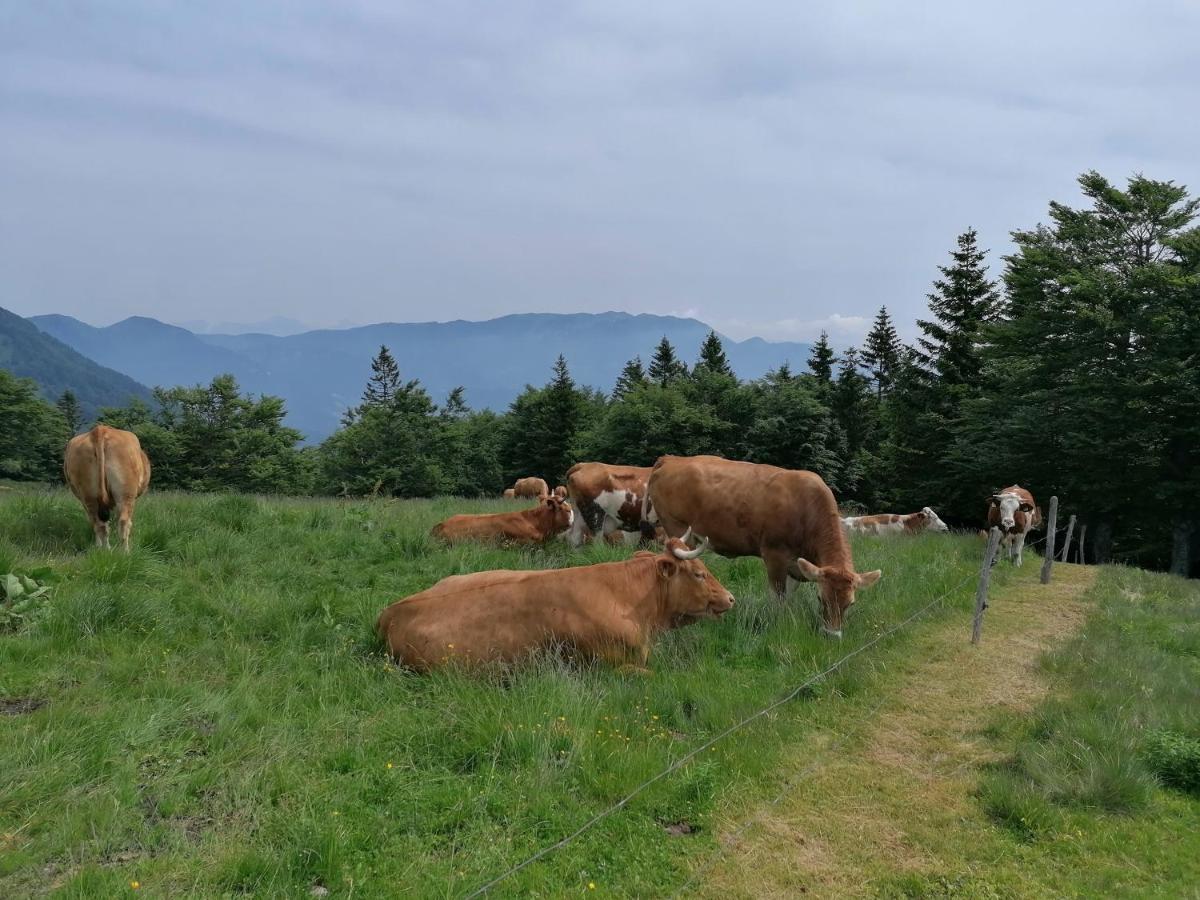 Apartma Na Ravnicah Cerkno Exteriér fotografie