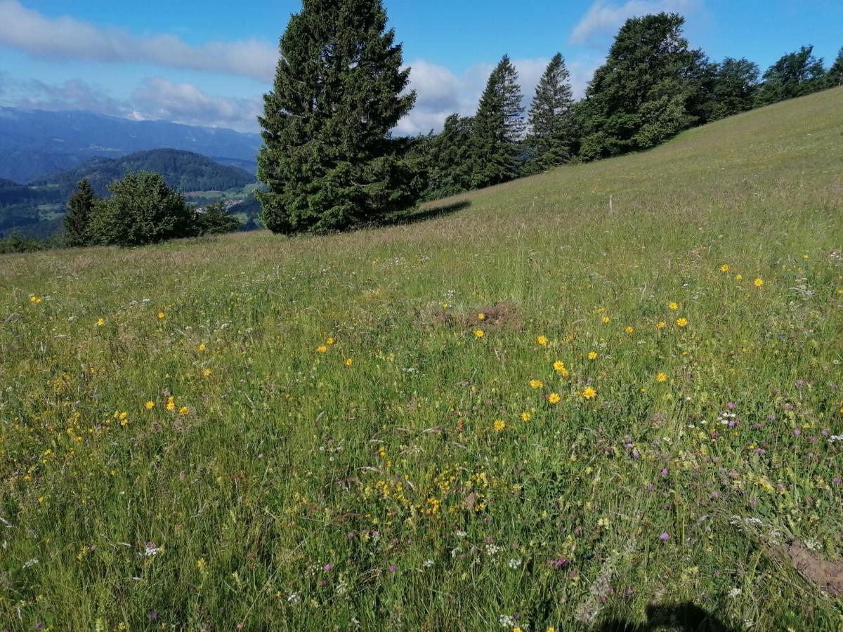 Apartma Na Ravnicah Cerkno Exteriér fotografie