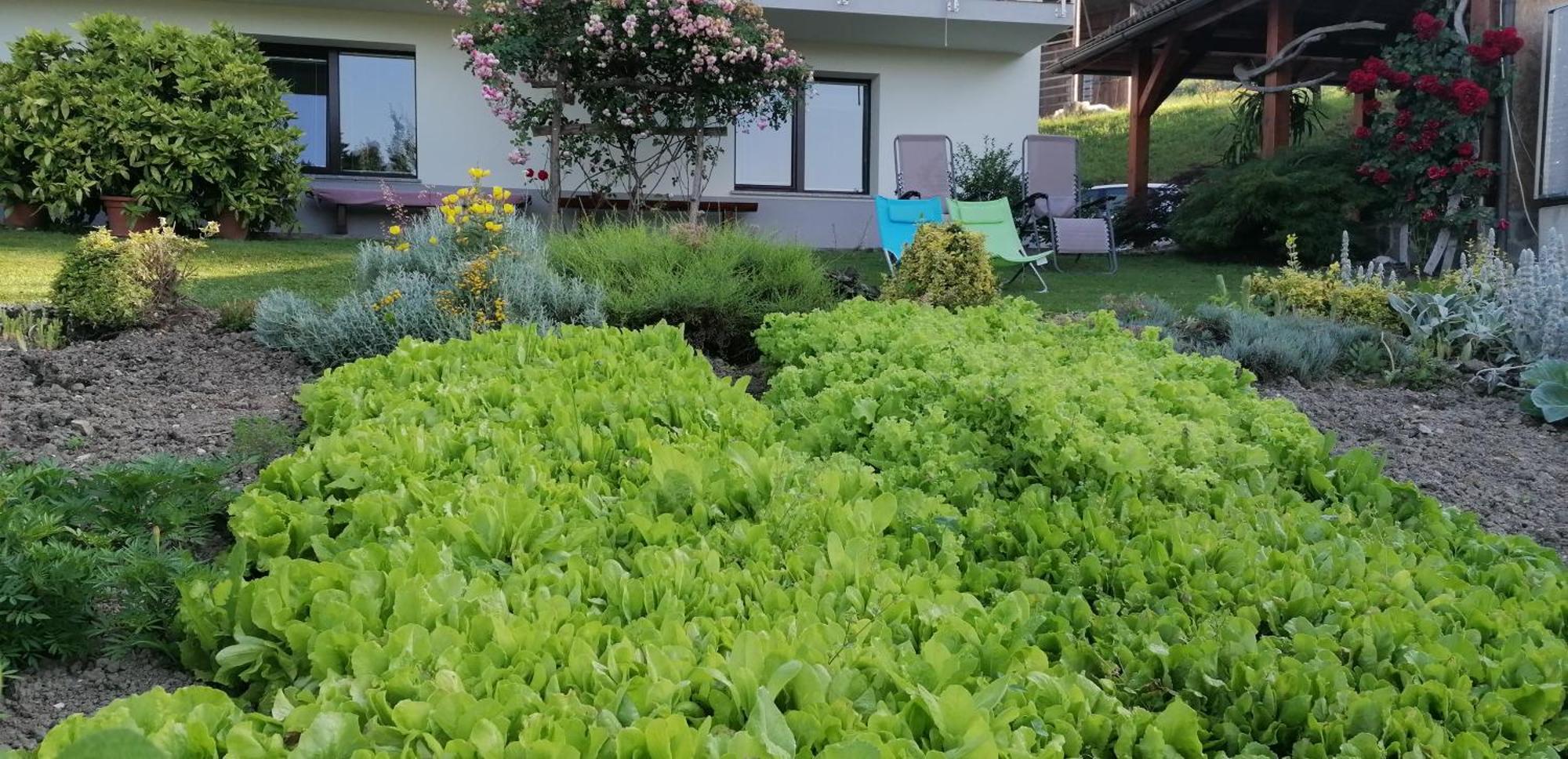 Apartma Na Ravnicah Cerkno Exteriér fotografie