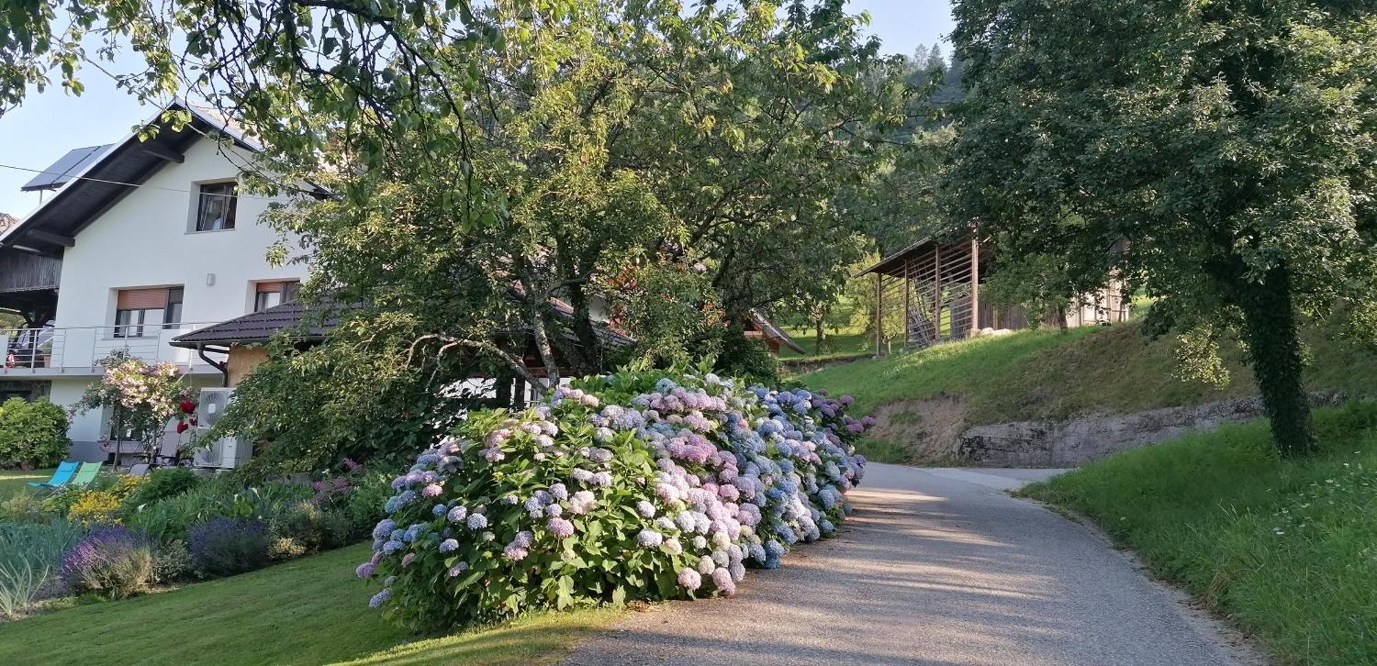 Apartma Na Ravnicah Cerkno Exteriér fotografie